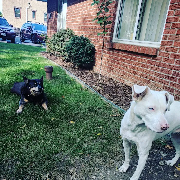 MaxFund Veterinary Clinic Picture 8