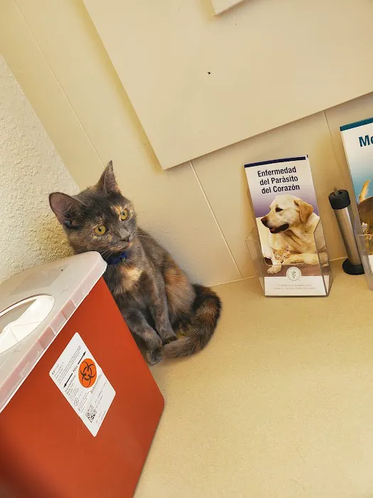 MaxFund Veterinary Clinic Picture 7