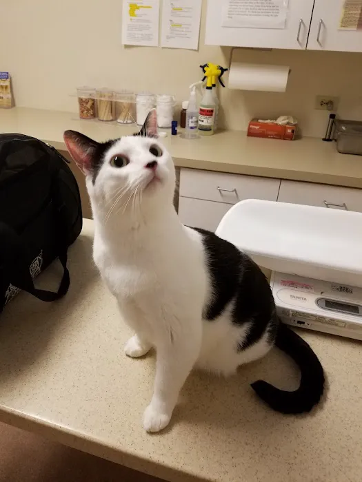 MaxFund Veterinary Clinic Picture 9