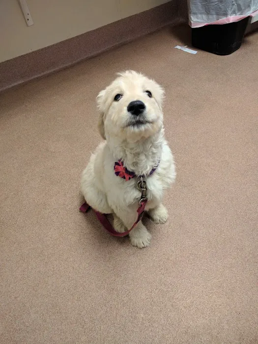 MaxFund Veterinary Clinic Picture 10
