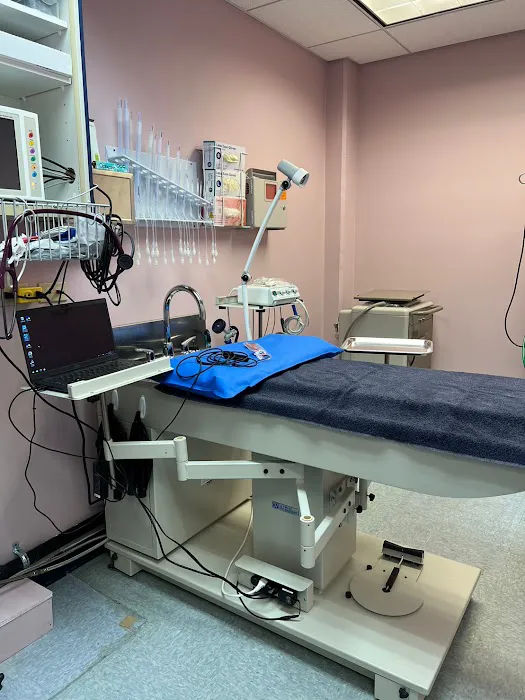 Animal Surgical Care Picture 1