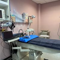 Animal Surgical Care ico