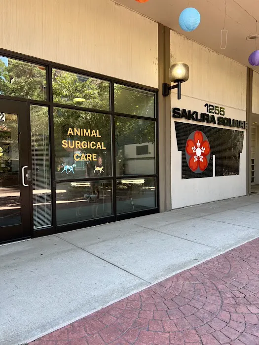 Animal Surgical Care Picture 9