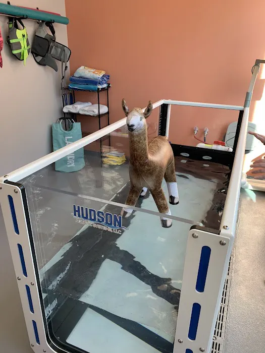 Urban Paw Veterinary Health and Rehabilitation Picture 9