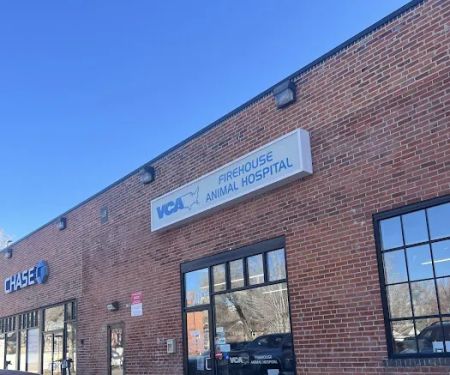 VCA Firehouse Animal Hospital