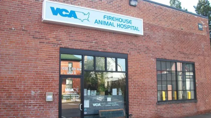 VCA Firehouse Animal Hospital Picture 2