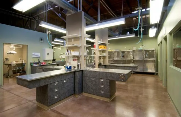 VCA Firehouse Animal Hospital Picture 8