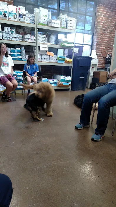 VCA Firehouse Animal Hospital Picture 10