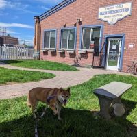 Tender Touch Animal Hospital ico