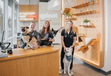 Sploot Veterinary Care - Commons Park Picture 5