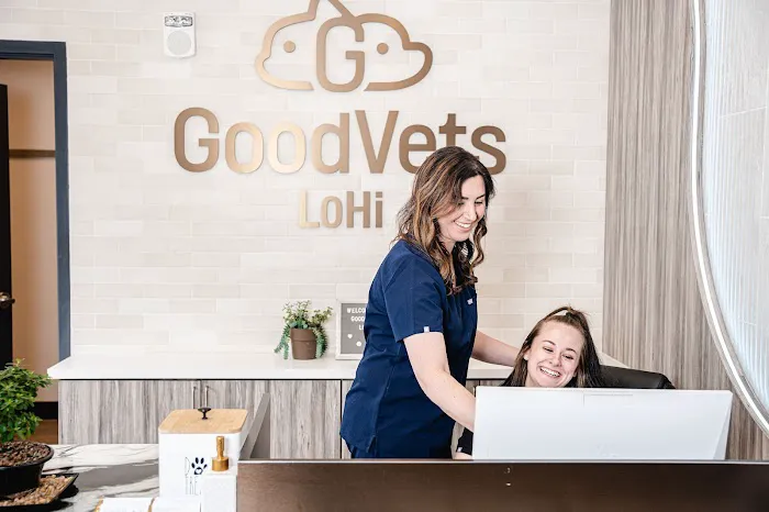 GoodVets LoHi Picture 2