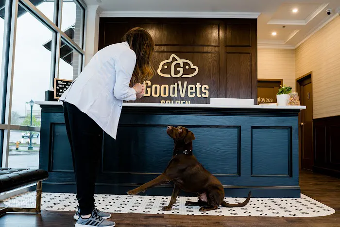 GoodVets LoHi Picture 9