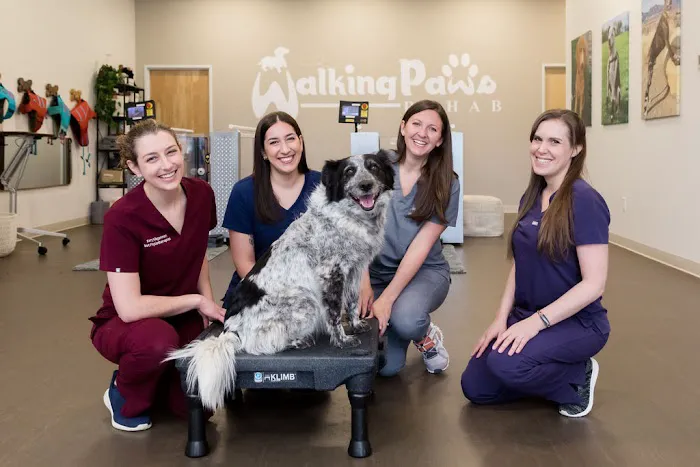 Walking Paws Rehab Picture 1