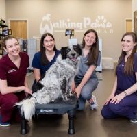 Walking Paws Rehab ico