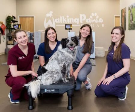 Walking Paws Rehab