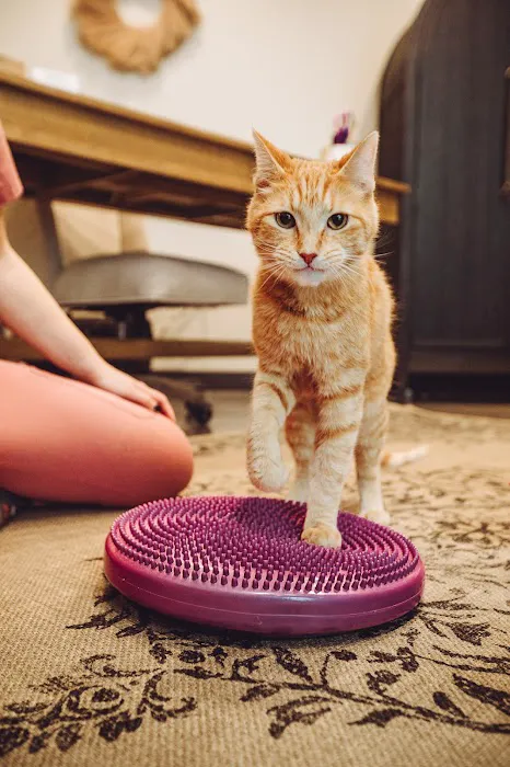 Walking Paws Rehab Picture 10