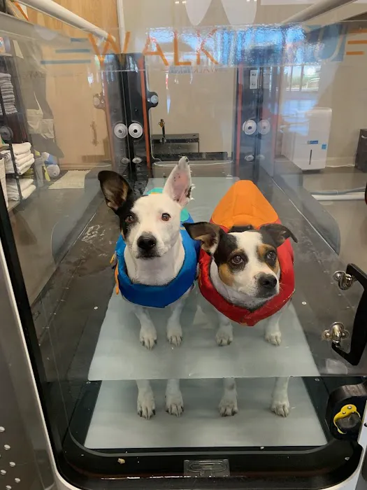 Walking Paws Rehab Picture 8