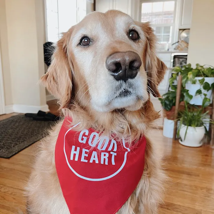 Goodheart Animal Health Center Picture 4