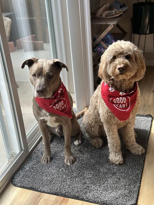 Goodheart Animal Health Center Picture 9