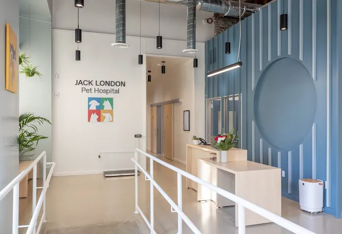 Jack London Pet Hospital Picture 1