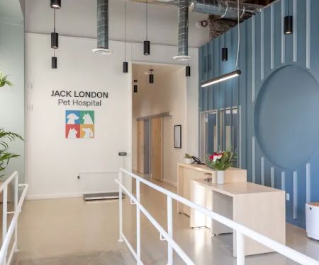 Jack London Pet Hospital