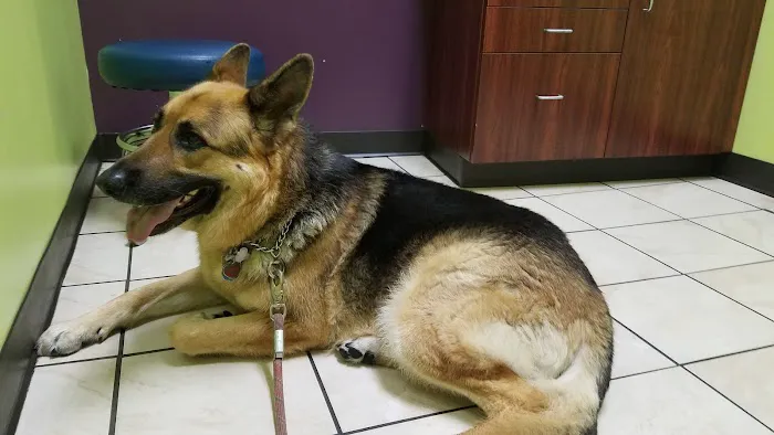 East Bay Veterinary Clinic Picture 4