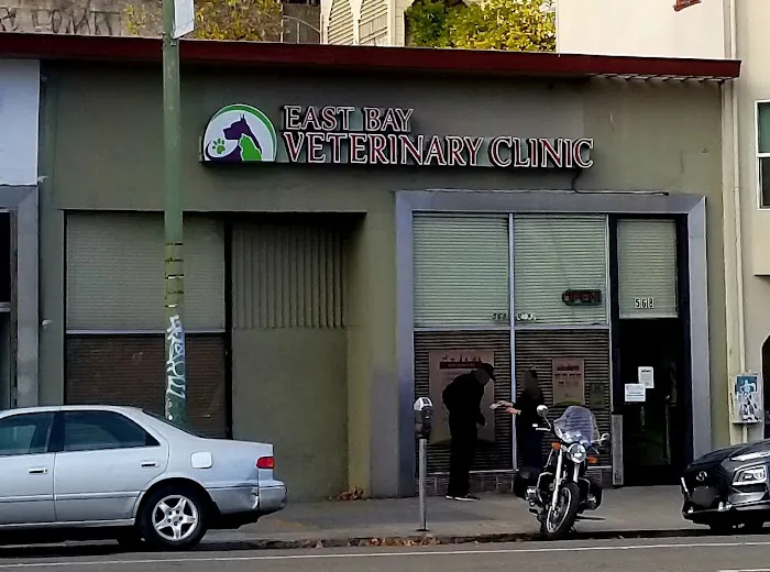 East Bay Veterinary Clinic Picture 1