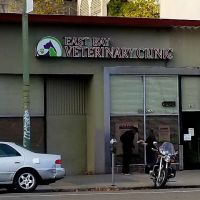 East Bay Veterinary Clinic ico