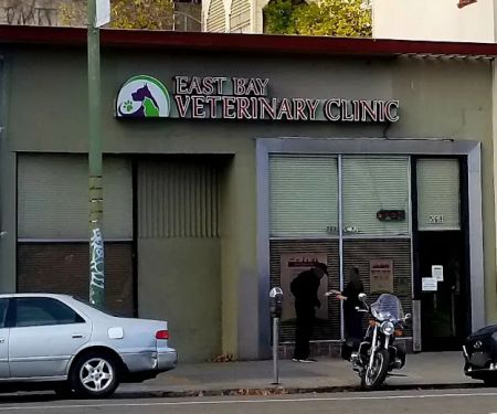 East Bay Veterinary Clinic