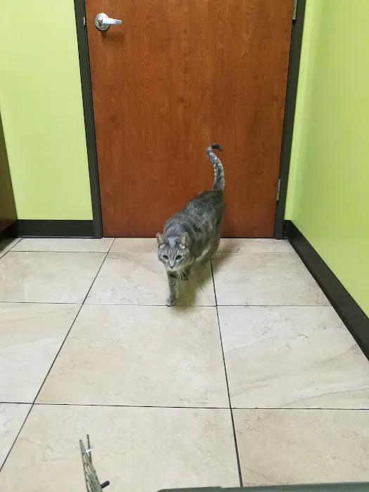 East Bay Veterinary Clinic Picture 3