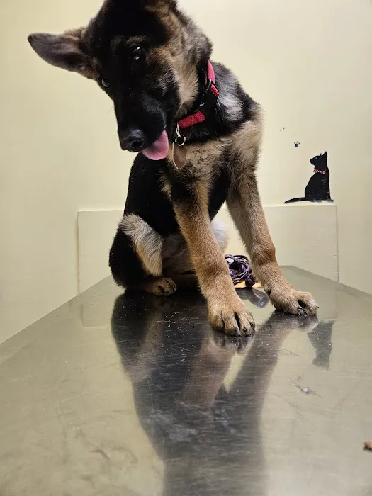 East Bay Veterinary Clinic Picture 5