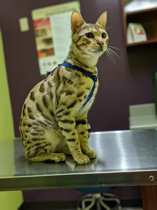 East Bay Veterinary Clinic Picture 6