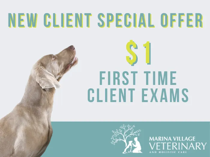 Marina Village Veterinary Picture 3