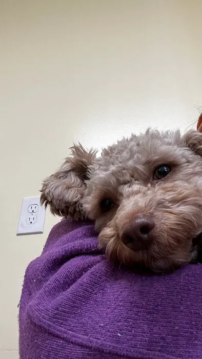 Emeryville Vet Hospital Picture 6