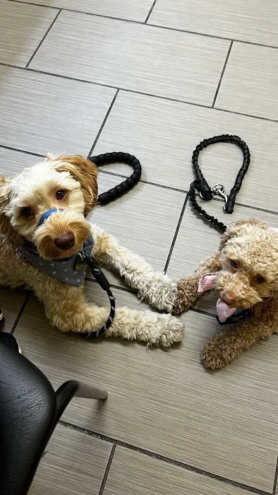 Emeryville Vet Hospital Picture 7