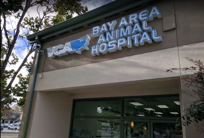 VCA Bay Area Animal Hospital Picture 1