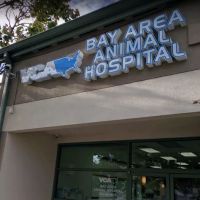 VCA Bay Area Animal Hospital ico