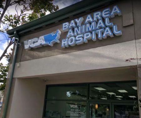 VCA Bay Area Animal Hospital