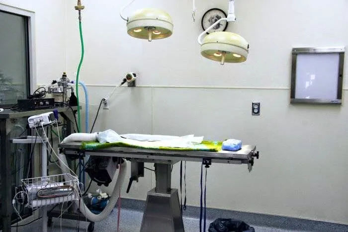 VCA Bay Area Animal Hospital Picture 2