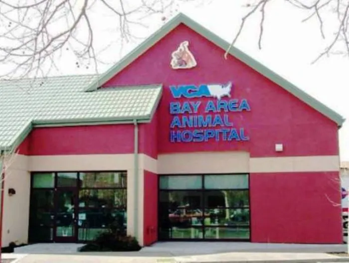 VCA Bay Area Animal Hospital Picture 6