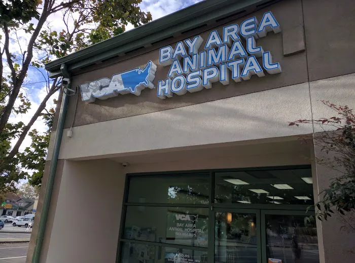 VCA Bay Area Animal Hospital Picture 4