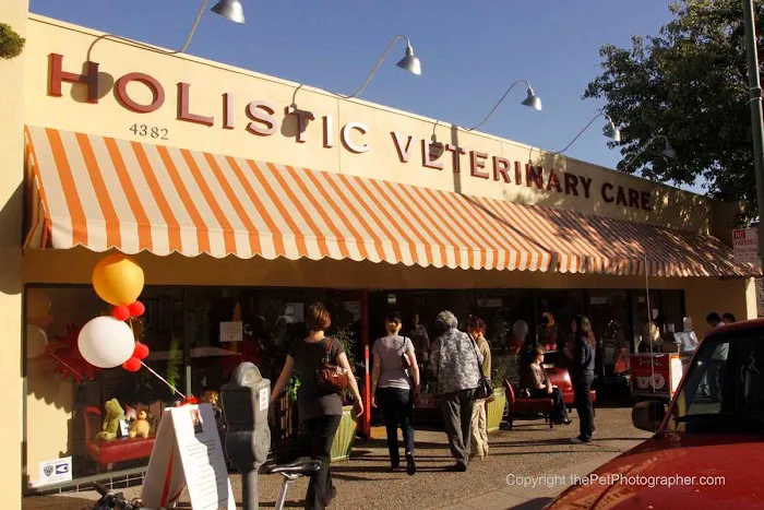 Holistic Veterinary Care Picture 2