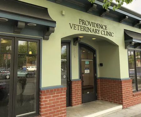 Providence Veterinary Clinic - West