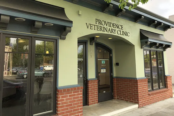 Providence Veterinary Clinic - West Picture 3
