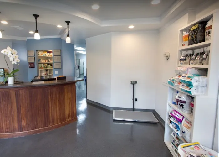 Providence Veterinary Clinic - West Picture 6