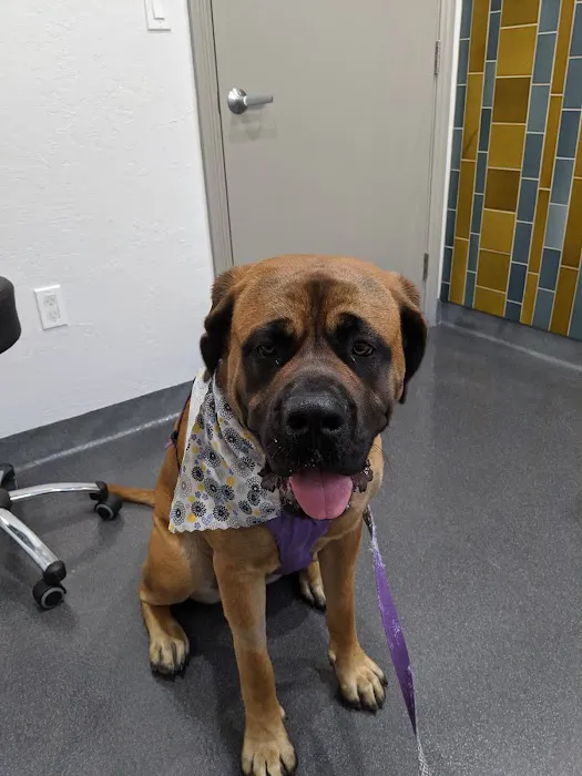 Providence Veterinary Clinic - West Picture 10