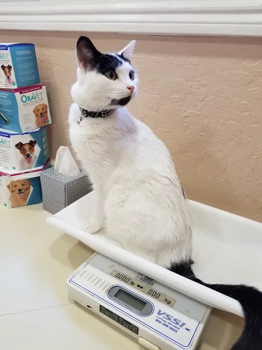 Providence Veterinary Clinic - West Picture 9