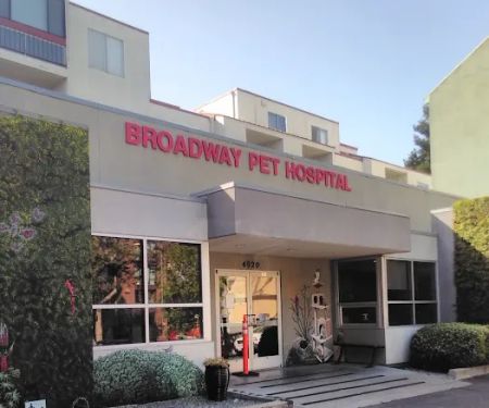 Broadway Pet Hospital: Schulze Roger DVM