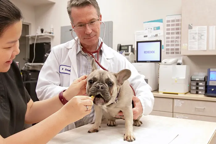VCA Broadway Animal Hospital Picture 5