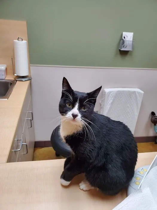 VCA Broadway Animal Hospital Picture 6